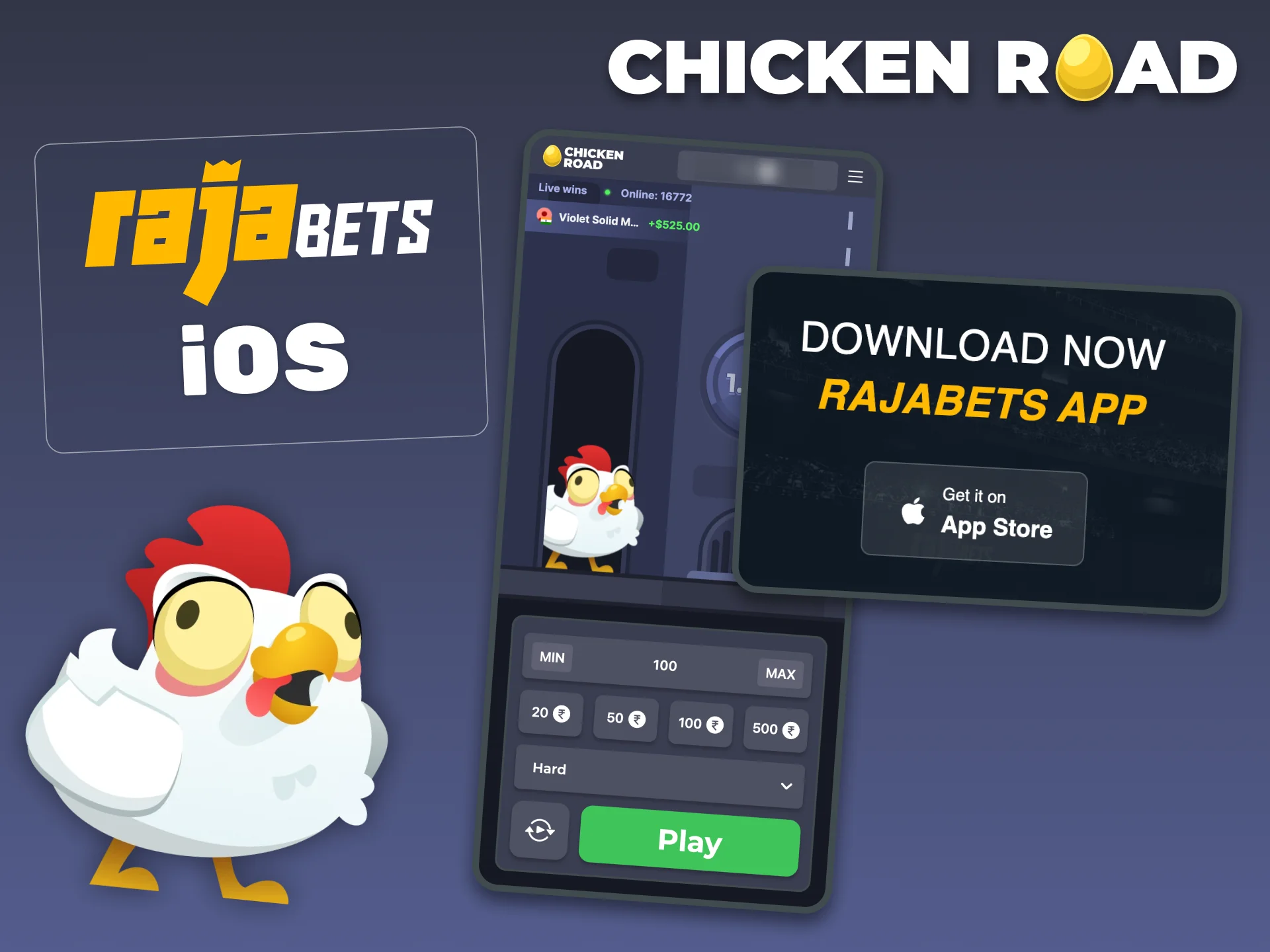 Add RajaBets to your iPhone home screen and play Chicken Road fast.